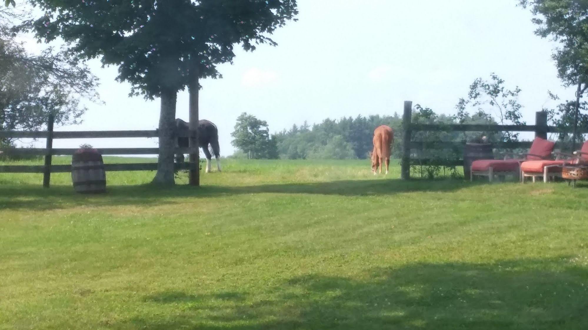 Benjamin Prescott Inn Jaffrey ภายนอก รูปภาพ